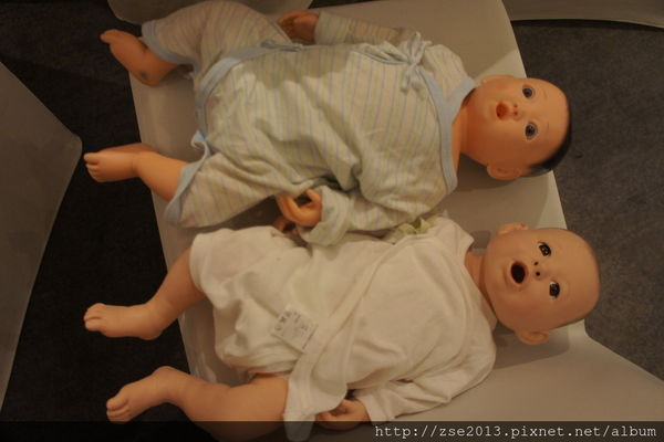 Pigeon貝親2016愛哺乳‧母乳關愛茶會講座