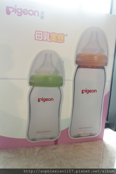 Pigeon貝親2016愛哺乳‧母乳關愛茶會講座