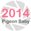 2014Pigeon baby