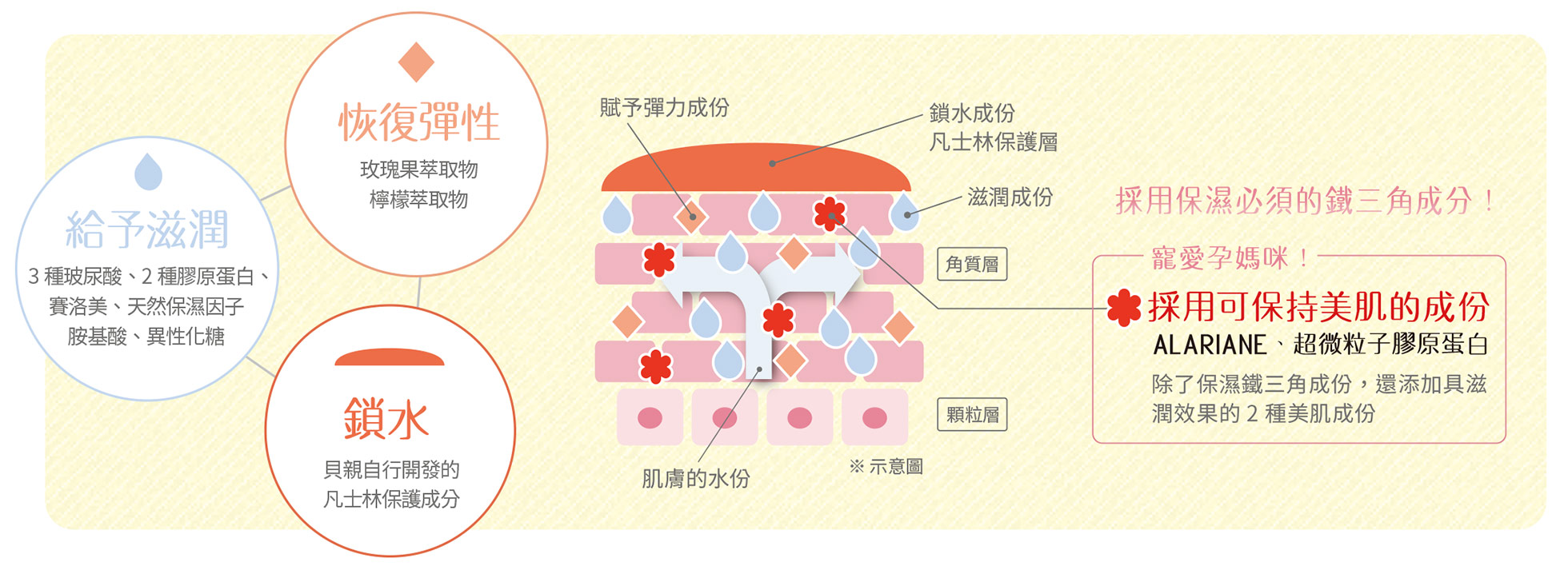 採用保濕必須的鐵三角成份!