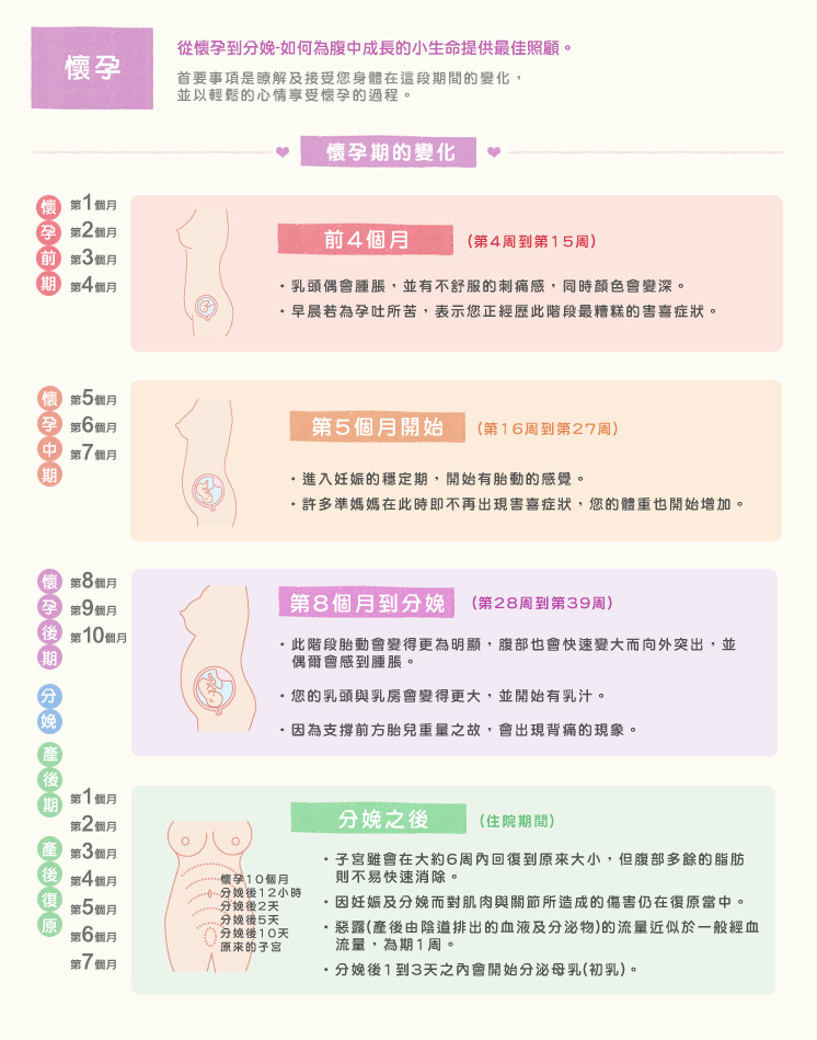 点选怀孕月份即可观看怀孕期间身体变化及相关资讯喔!
